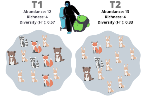 COMMUNITIES: DIVERSITY INDICES