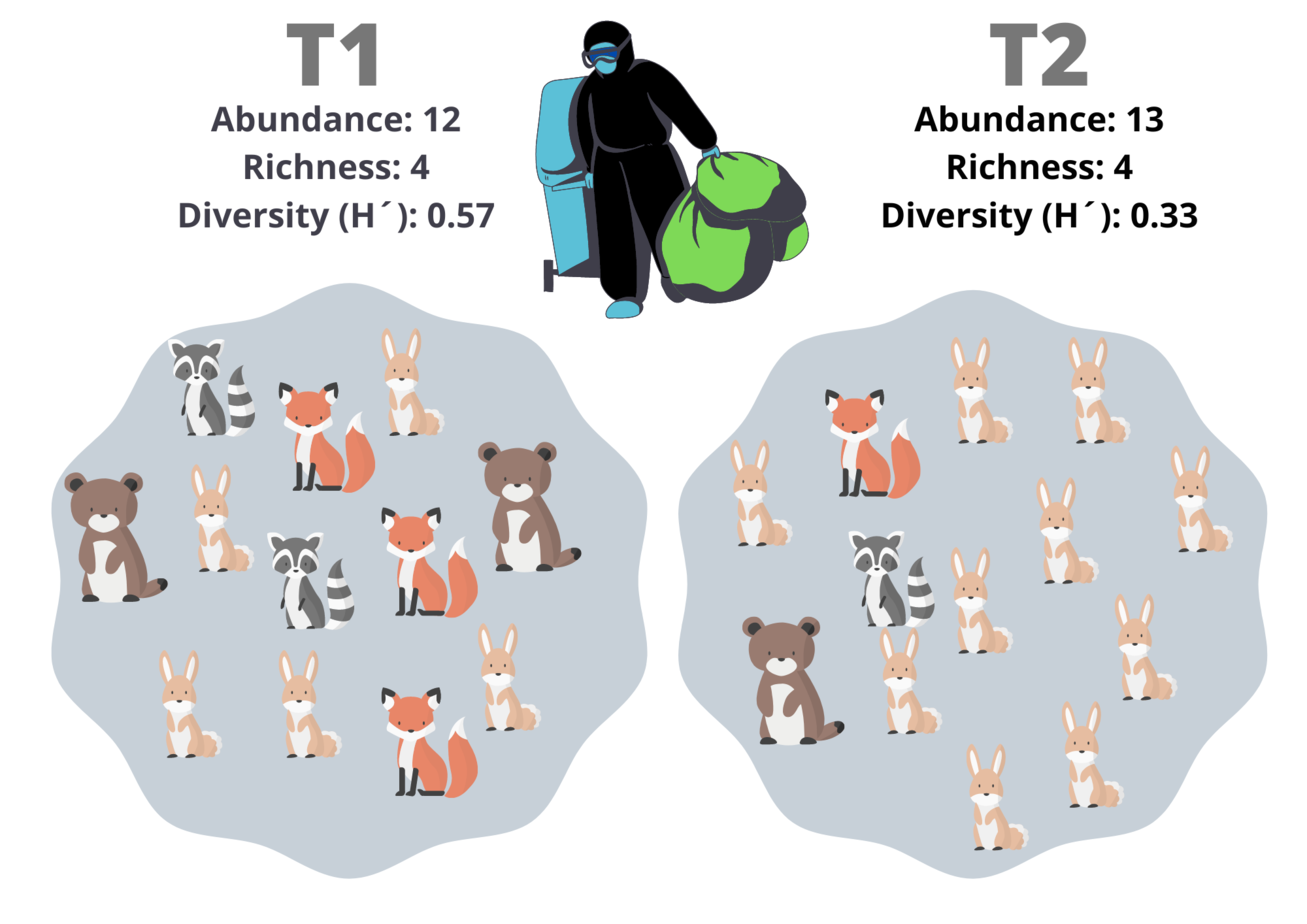 COMMUNITIES: DIVERSITY INDICES