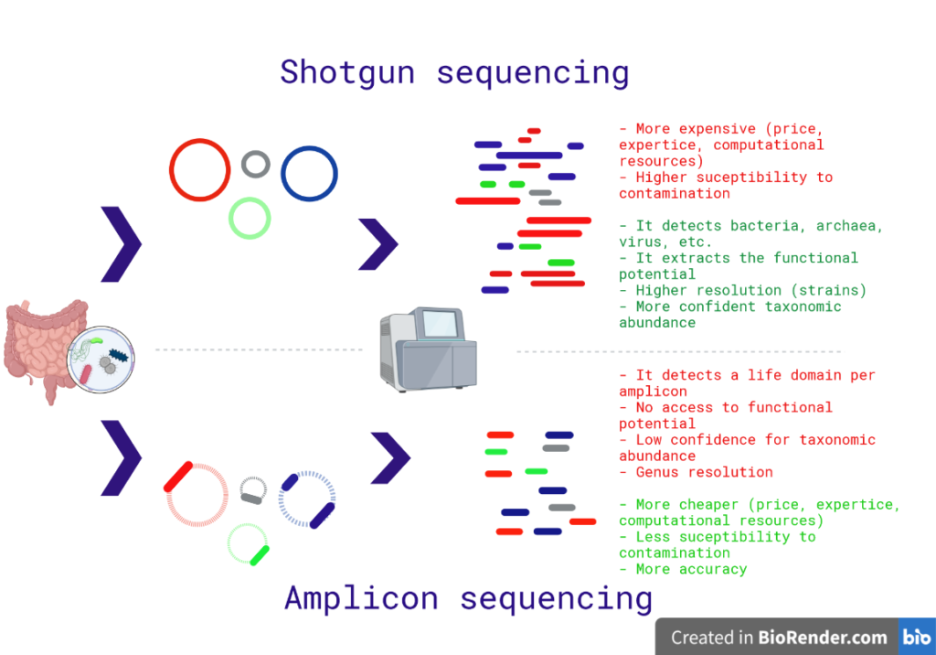 Amplicon/shotgun seq