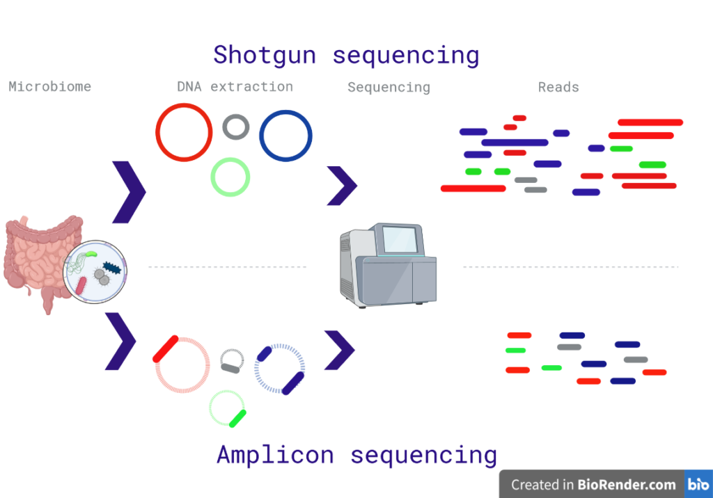 Shotgun vs amplicon