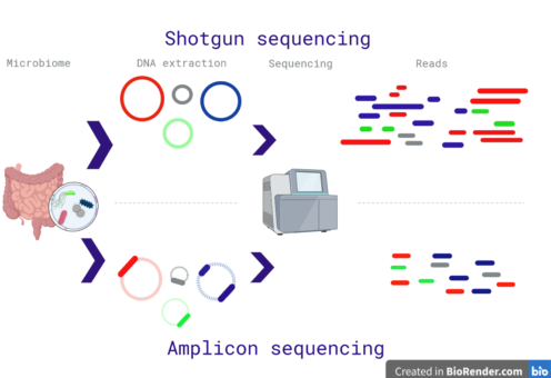 The first decision: amplicon sequencing or wgs? Or… both? :O